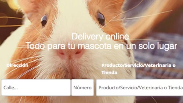 Llega el primer delivery para mascotas (de la mano de MascotasYa)