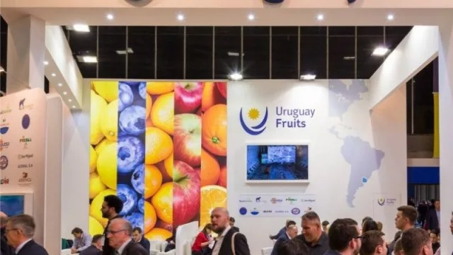 UY exportó frutas por más de US$ 76 millones y hoy estará en la Fruit Logística