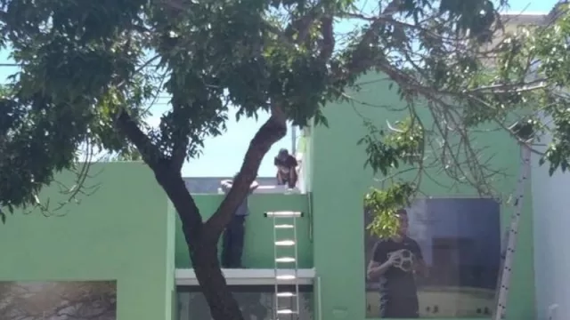 Las nuevas oficinas de Herbalife Nutrition Center llegaron a Punta Carretas