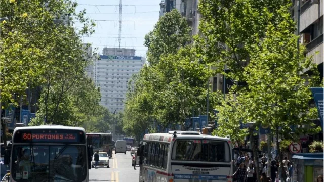 Un Starbucks y una nueva grifa desembarcan en Ciudad Vieja y Centro 
