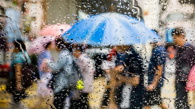 Resultados de la Encuesta Mundial a CEOs 2019