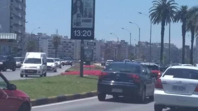 Autos pequeños y económicos son los preferidos de los uruguayos 