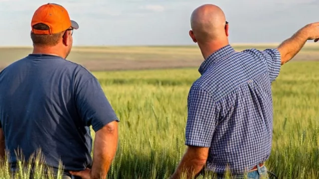 Pereira Negocios Rurales pone el foco en la embarcación (con más de 2.000 reses por mes)