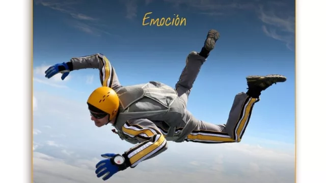 Una caja gigante: BigBox quiere ser una compañía de US$ 100 M de venta para 2021