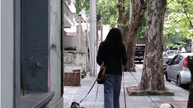 Por $200 tu perro tiene 2:30 hs. de diversión asegurada