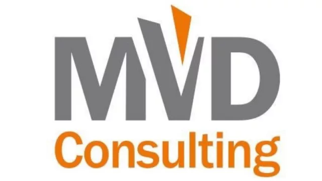 Cómo hacer que las empresas tengan visión global (el método de MVD Consulting)