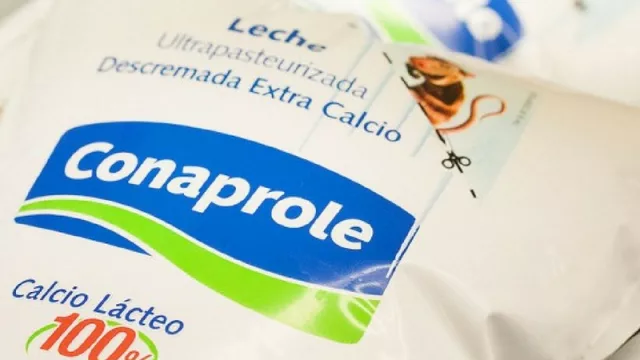 Conaprole y una nueva emisión de ON por US$ 5 millones