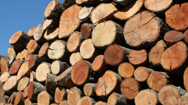 Al mal tiempo... Platero pone la leña (esperan vender 15% más que 2017)