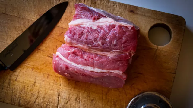 Esperando el sí: técnicos rusos verificarán plantas frigoríficas de Paraguay