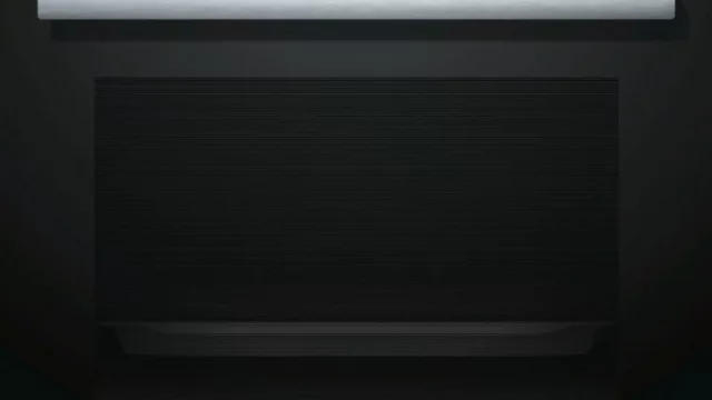 Prepara todos tus platos de forma perfecta y jugosa con el Horno con vapor añadido de Bosch