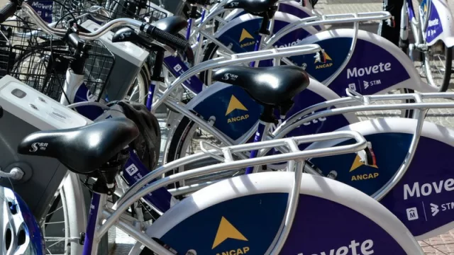 Sal de ahí, chivita chivita… (aumenta la nafta y se construyen 20 km de ciclovías) 