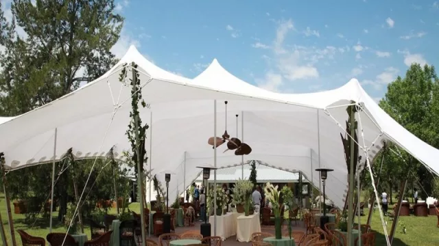 Cool, prácticas y nómades: Carpas Beduinas 