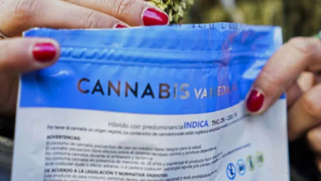 Un mercado que sigue verde