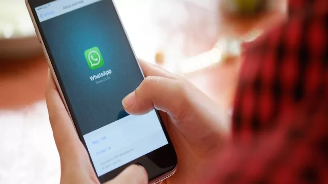 InfoNegocios también puede mandarte alertas a tu Whatsapp (cuando suceda algo urgente, inusual o llamativo)