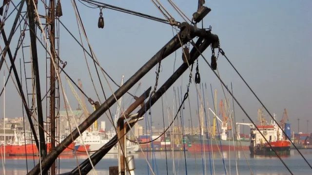 Exportaciones uruguayas de carne crecieron 12,98% (frente a igual mes de 2017)