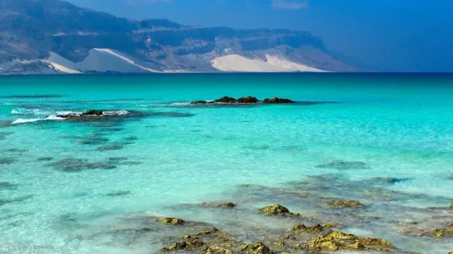 El 87% de los usuarios/viajeros deciden sus viajes en línea (según datos de Amadeus)