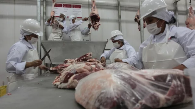 Frigoríficos paraguayos reciben el visto bueno del gobierno chileno