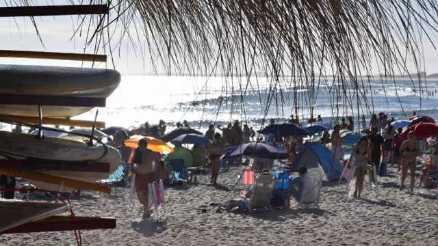 Quiere más… Rocha propone descuentos del 10% a 15% para febrero y marzo