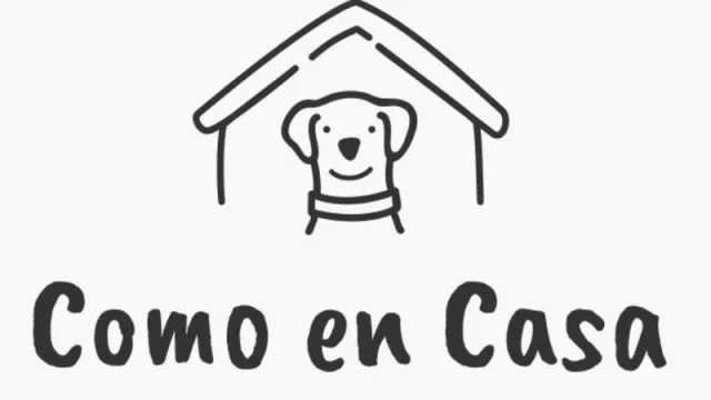 El Airbnb para mascotas, una alternativa uruguaya a los pensionados para estas vacaciones