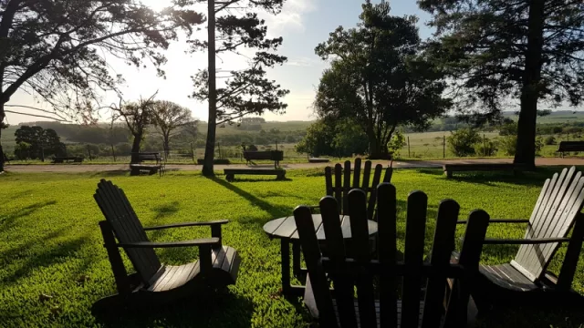 Florida: turismo crece 20% y un 25% la llegada de turistas extraregionales