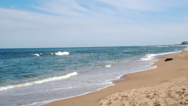 Si sos de los que veranean en nuestro país...