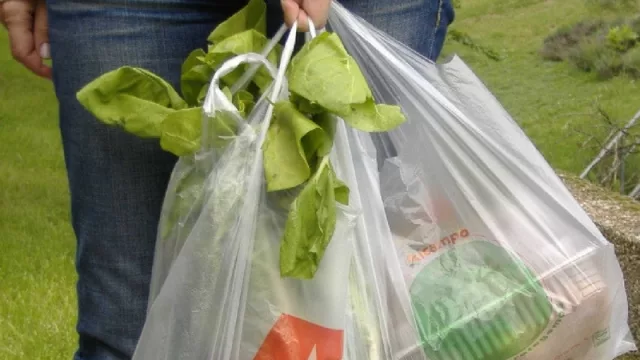 La Cámara de Senadores aprobó el proyecto de ley de uso sustentable de bolsas plásticas, que busca eliminar poco a poco el uso de estas bolsas mediante el cobro obligatorio para los consumidores