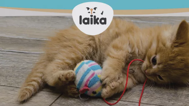 Laika cumple su plan de expansión: abrió su tercer local en un año