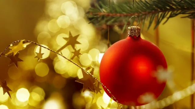 Como es tradición, el 8 de diciembre se arma el arbolito de navidad