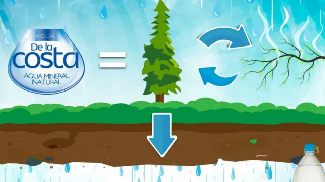 La marca que reforesta 70.000 árboles en la Reserva Natural Morombi