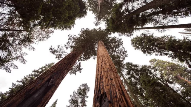 Las 100 empresas más sostenibles que operan en Latinoamérica y el Caribe