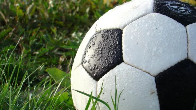 Resultados de Encuesta Anterior