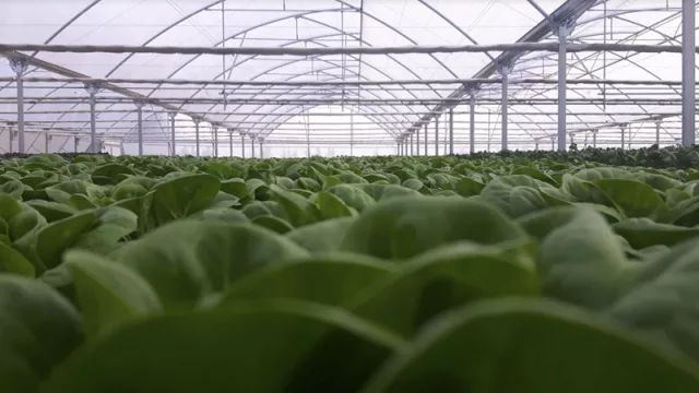 VerdeAgua, la empresa uruguaya que le ganó a 2.400 empresas de todo el mundo en compromiso sustentable