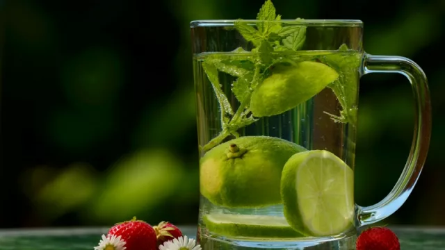 El poder del agua saborizada preparada en casa (ViaAqua te trae las combinaciones más ricas)