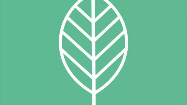 Momlab: una empresa de cosmética “verde” a cargo de mamás sustentables