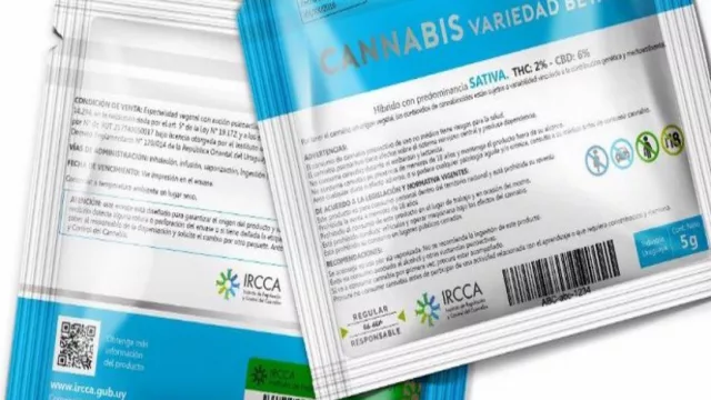 Más cannabis y más informalidad (¿el Gobierno promueve la informalidad financiera?)