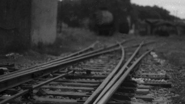 Un gigante chino se quiere subir al tren de UPM (busca invertir más de US$1.000 M en ese y otros proyectos)