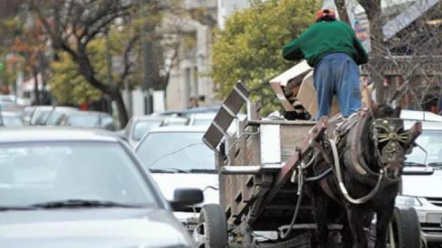 La IMM invita a empresas que quieran participar de la “uberización” de los residuos: buscan eliminar los carros tirados por caballos