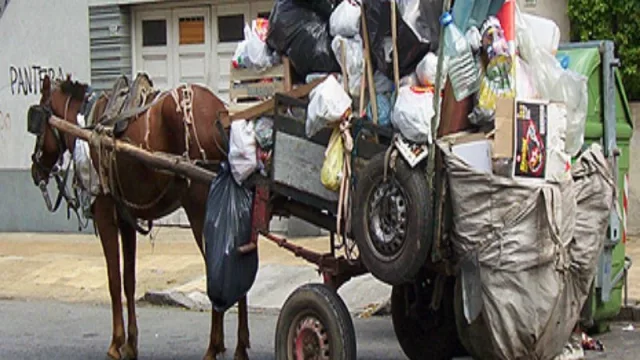 La IMM invita a empresas que quieran participar de la “uberización” de los residuos: buscan eliminar los carros tirados por caballos