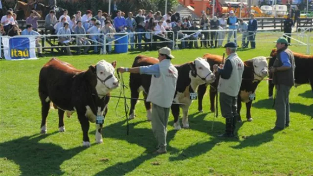 Resultados de Encuesta Anterior