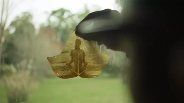 Nueva campaña de Amén para La Selva