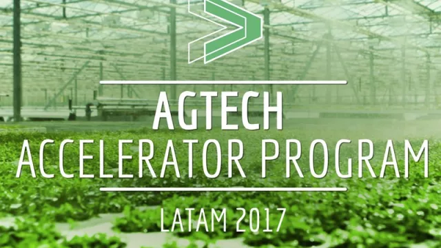 La tecnología “revoluciona” el campo: startups buscan su lugar en la agricultura uruguaya