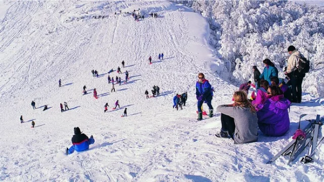 Controles de turismo estudiantil en temporada alta en Argentina