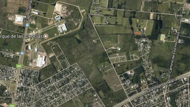 Sinergia entre públicos y privados: la causa detrás de la inversión de US$60 M de Car One