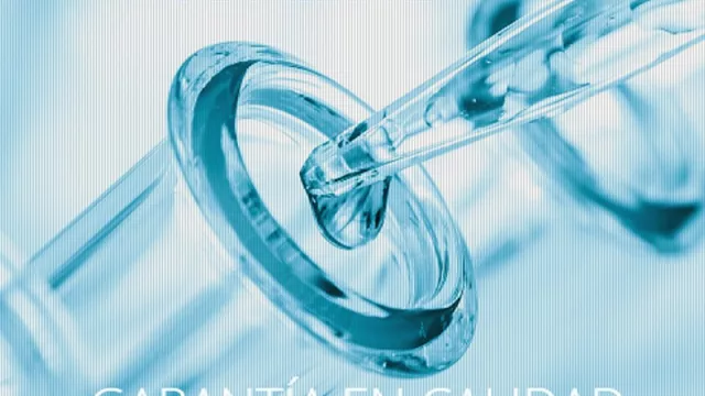 ¿Qué tienen en común Schneck, Saman, El Trigal y Sarubbi?