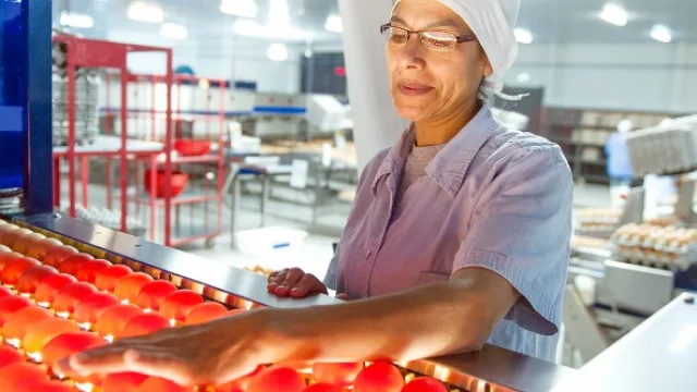 Empresa paraguaya Las Tacuaras invirtió G. 850.485.646 en Responsabilidad Social Empresarial