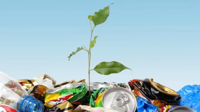 Resultados de Encuesta Anterior