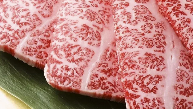 El kilo de carne de las vacas japonesas que hacen “ooommm” cuesta US$110 en Punta