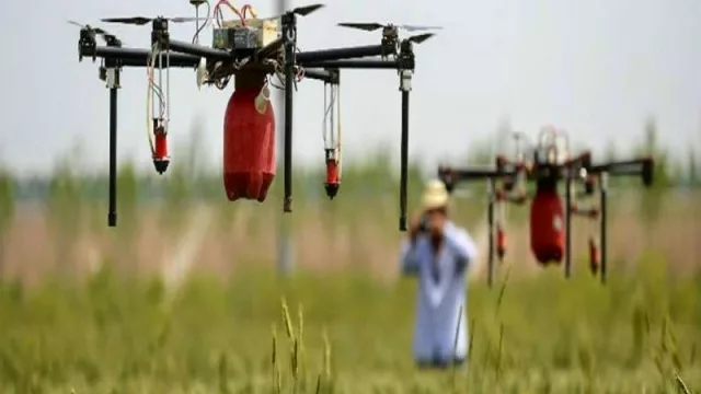 Los drones facilitan la inspección de cultivos e industrias (analizar una hectárea cuesta US$3)