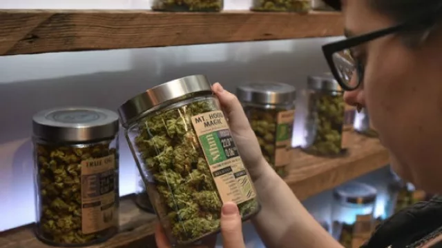 El pasado martes se abrió el registro para los interesados en consumir marihuana estatal. El gobierno anunció que a mediados de julio se habilitará la venta en farmacias