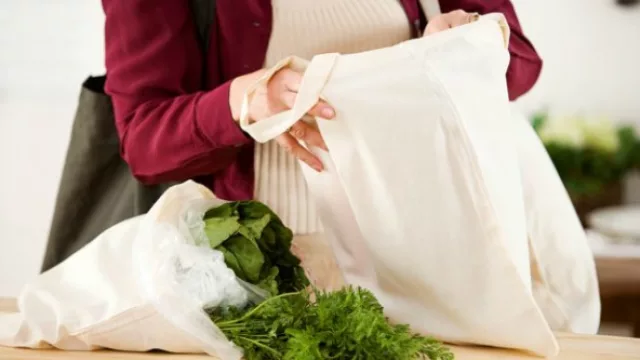 Resultados de Encuesta Anterior